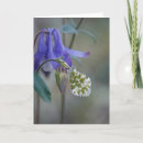 Search for bonnets Flower