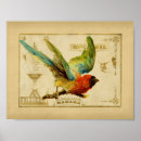 Search for bird man posters Retro