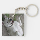Search for breeders key rings Owner