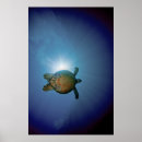 Search for scuba diving posters Beach