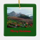 Search for your point is christmas tree decorations Beach