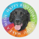 Search for black lab Happy birthday