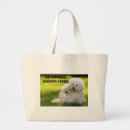 Search for bichon accessories Pets