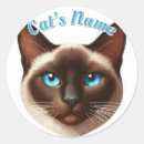 Search for cat hair stickers Kitten