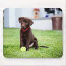 Search for fetch mousepads Puppy