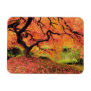 Search for fall background cards Colour