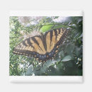 Search for summer fun magnets Purple