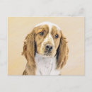 Search for springer postcards Spaniel