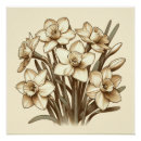 Search for vintage botanical posters Bouquet