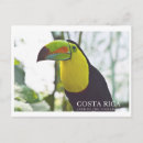 Search for costa rica postcards Souvenir