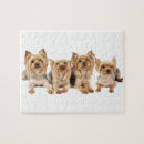 Search for yorkshire terrier puzzles Cute dog