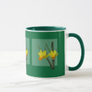 Search for orange blossom mugs Botanical
