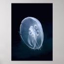 Search for bright blue posters Nature