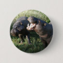 Search for hippopotamus badges Hippos