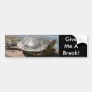 Search for turtle bumper stickers Wildlife