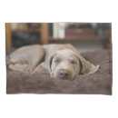 Search for baby pillowcases Dog