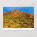 Search for superstition Superstition wilderness