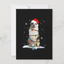 Search for australian christmas invitations Xmas