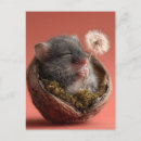 Search for sleeping baby postcards Cute