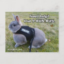 Search for bun postcards Rabbit