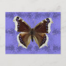 Search for cloak postcards Butterfly
