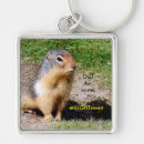 Search for animal key rings Photography