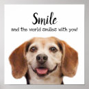 Search for cute and funny animal pictures posters Pets