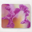 Search for pedalling mousepads Nobody