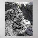 Search for leopard eyes art Feline