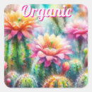 Search for watercolor succulent stickers Pink