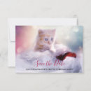 Search for orange kitty cat invitations Pet