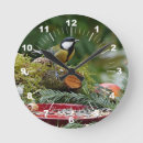 Search for bird feeder Seeds