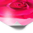 Search for romantic red rose posters Floral