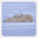 Search for carefree stickers Full length