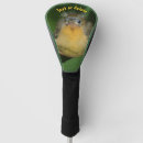 Search for oriole Wildlife