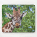 Search for giraffe face electronics Portrait