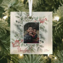 Search for pine christmas tree decorations Holly berries