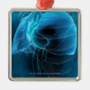 Search for lungs christmas tree decorations People