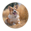 Search for photo chopping boards Baby