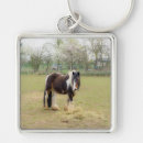 Search for looking for love key rings Animal