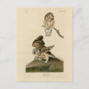 Search for sawing vertical postcards Illustration