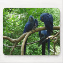 Search for birding mousepads Bird lover