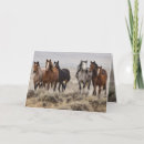 Search for foal christmas cards Equine