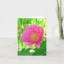 Search for blank floral cards Photography