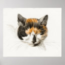 Search for vintage cat posters Kitten