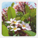 Search for tropical plant stickers Flowers