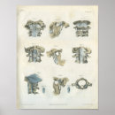Search for cervical posters Medical