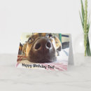 Search for 1 daddy cards Cute
