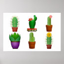 Search for cactus plant posters Cacti