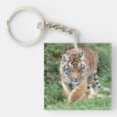 Search for kawaii animal key rings Nature